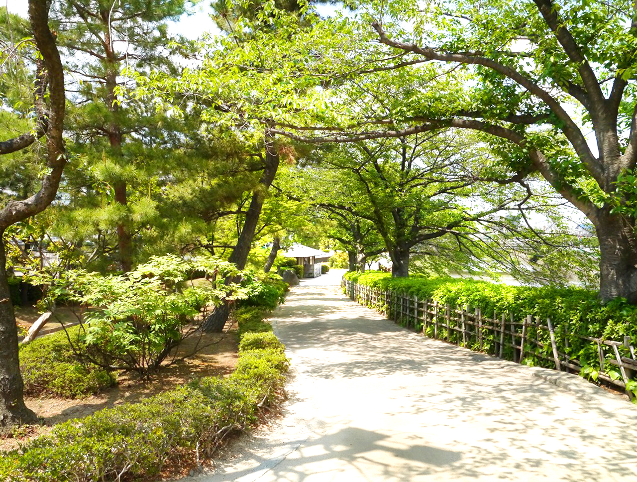 日光街道草加松原